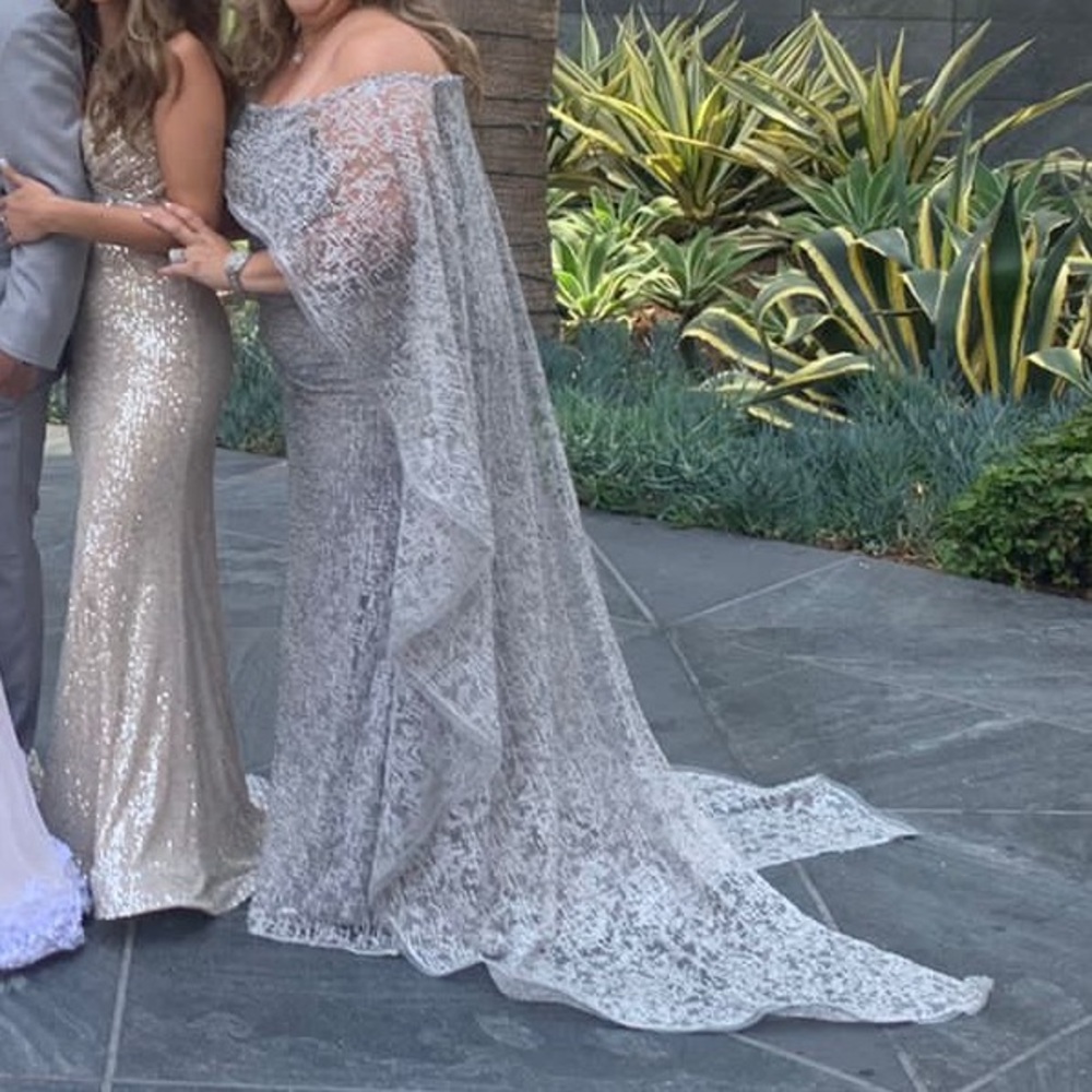Elegant Silver Lace Dress with train - Picture 6 of 8